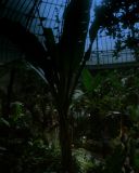 Filename=SH201_1114.jpg
Filesize=251KiB
Dimensions=1920x1080
Date added=Jan 21, 2017 SH201_1114.jpg