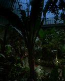 Filename=SH201_1120.jpg
Filesize=249KiB
Dimensions=1920x1080
Date added=Jan 21, 2017 SH201_1120.jpg