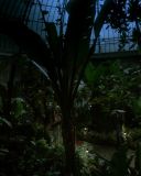 Filename=SH201_1121.jpg
Filesize=244KiB
Dimensions=1920x1080
Date added=Jan 21, 2017 SH201_1121.jpg