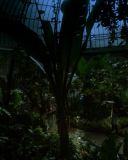 Filename=SH201_1122.jpg
Filesize=248KiB
Dimensions=1920x1080
Date added=Jan 21, 2017 SH201_1122.jpg