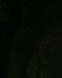 Filename=SH210_5081.jpg
Filesize=113KiB
Dimensions=1920x1080
Date added=Mar 21, 2017 SH210_5081.jpg