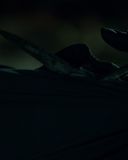 Filename=sh213_0559.jpg
Filesize=111KiB
Dimensions=1920x1080
Date added=Sep 11, 2017 sh213_0559.jpg