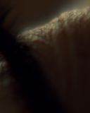 sh213_1336.jpg