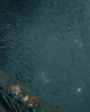 sh214_0452.jpg