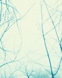 sh214_0618.jpg