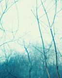 sh214_0619.jpg