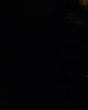 sh214_0911.jpg