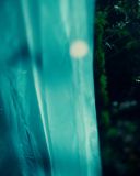 sh214_1581.jpg