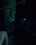 sh214_1823.jpg