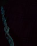 sh214_1877.jpg