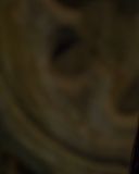 sh214_2100.jpg