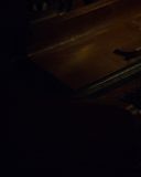 sh214_2660.jpg