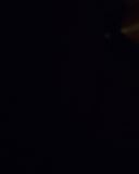 sh214_2661.jpg