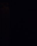 sh214_2662.jpg