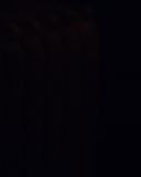 sh214_2663.jpg