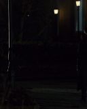 sh215_1421.jpg