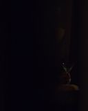 Filename=sh215_2019.jpg
Filesize=78KiB
Dimensions=1920x1080
Date added=Sep 11, 2017 sh215_2019.jpg