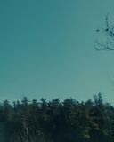 sh216_0001.jpg