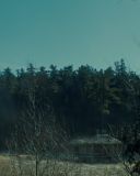 sh216_0003.jpg
