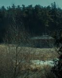 sh216_0007.jpg