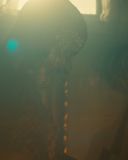 sh216_0044.jpg