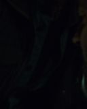 sh216_0773.jpg