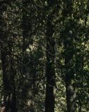 Filename=sh216_0809.jpg
Filesize=273KiB
Dimensions=1920x1080
Date added=Sep 11, 2017 sh216_0809.jpg