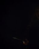 sh216_1146.jpg