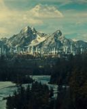 sh216_1766.jpg