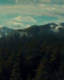 sh216_1768.jpg