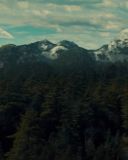 sh216_1769.jpg