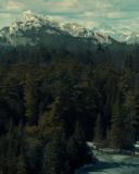 sh216_1772.jpg