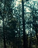 sh216_1786.jpg