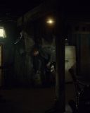 sh216_1846.jpg