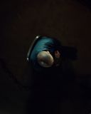 sh216_1850.jpg