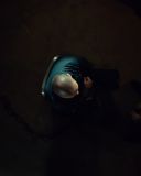 sh216_1851.jpg