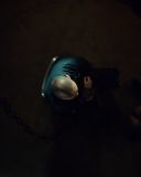 sh216_1852.jpg