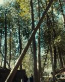 sh216_1995.jpg