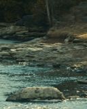 sh216_2365.jpg