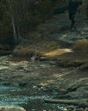 sh216_2366.jpg
