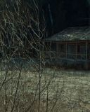 sh216_2384.jpg