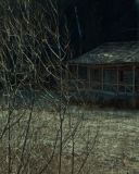 sh216_2385.jpg