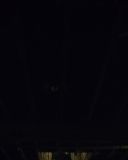 sh216_2391.jpg