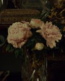 Filename=0260.jpg
Filesize=162KiB
Dimensions=1920x1080
Date added=Sep 12, 2017 0260.jpg