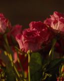 Filename=0220.jpg
Filesize=164KiB
Dimensions=1920x1080
Date added=Sep 12, 2017 0220.jpg
