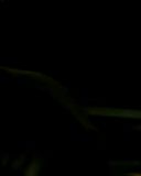 Filename=SH202_5965.jpg
Filesize=57KiB
Dimensions=1920x1080
Date added=Jan 20, 2017 SH202_5965.jpg