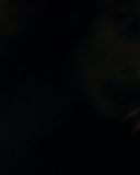Filename=SH207_5886.jpg
Filesize=69KiB
Dimensions=1920x1080
Date added=Mar 01, 2017 SH207_5886.jpg