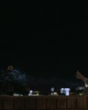 Filename=SH208_4274.jpg
Filesize=66KiB
Dimensions=1920x1080
Date added=Mar 01, 2017 SH208_4274.jpg