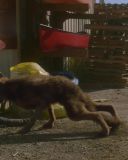 Filename=SH209_1196.jpg
Filesize=223KiB
Dimensions=1920x1080
Date added=Mar 02, 2017 SH209_1196.jpg