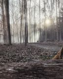 Filename=DcUPlN1WkAAKWvO.jpg
Filesize=326KiB
Dimensions=1200x900
Date added=May 14, 2018 DcUPlN1WkAAKWvO.jpg